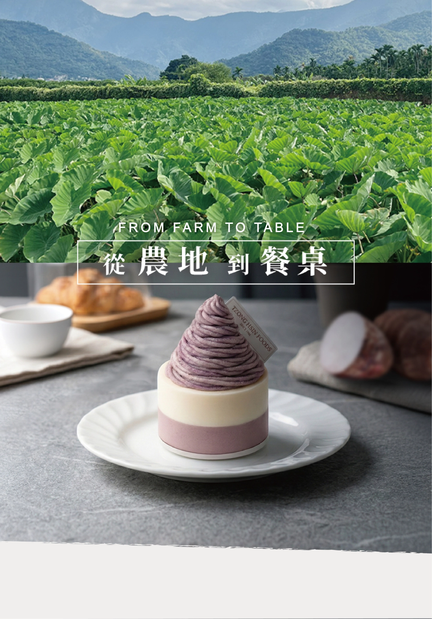 總信